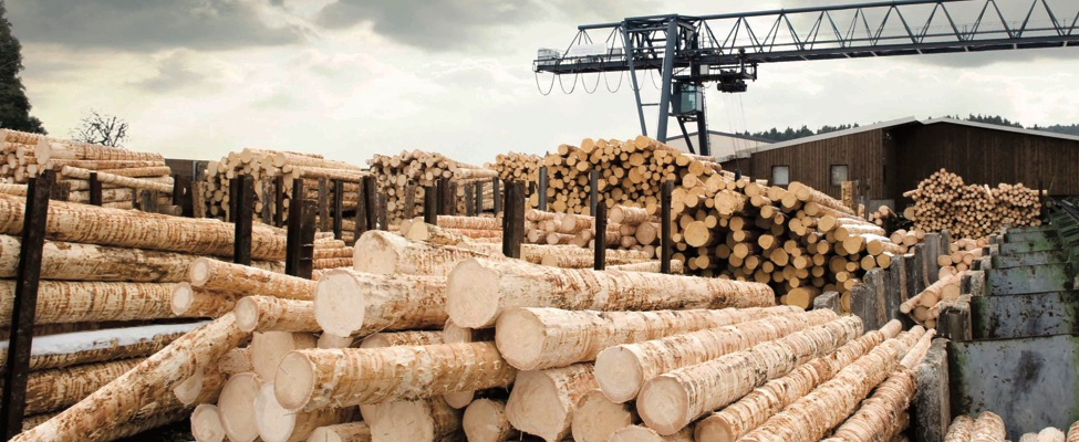 EU Timber Regulation
