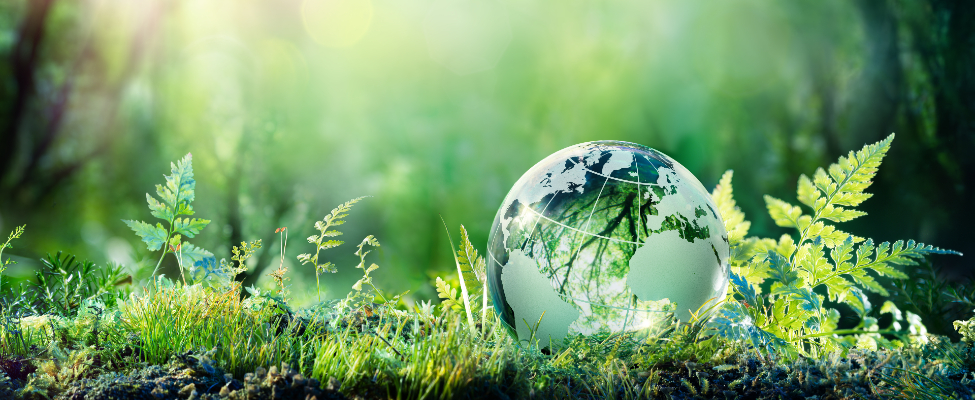 Life Cycle Assessment (LCA)/ Environmental Product Declaration (EPD)