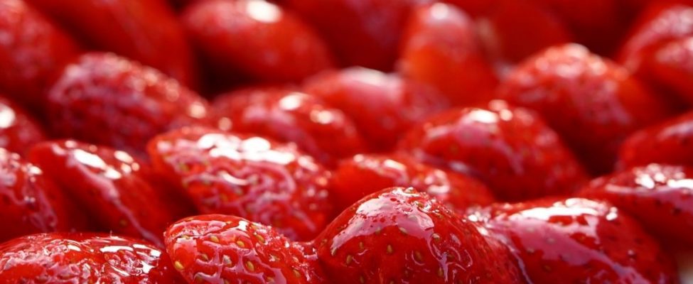 ISO 22000 or FSSC 22000, which is the most suitable for your company?